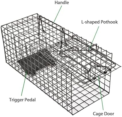 Live Squirrel Trap Humane Animal Cage Trap