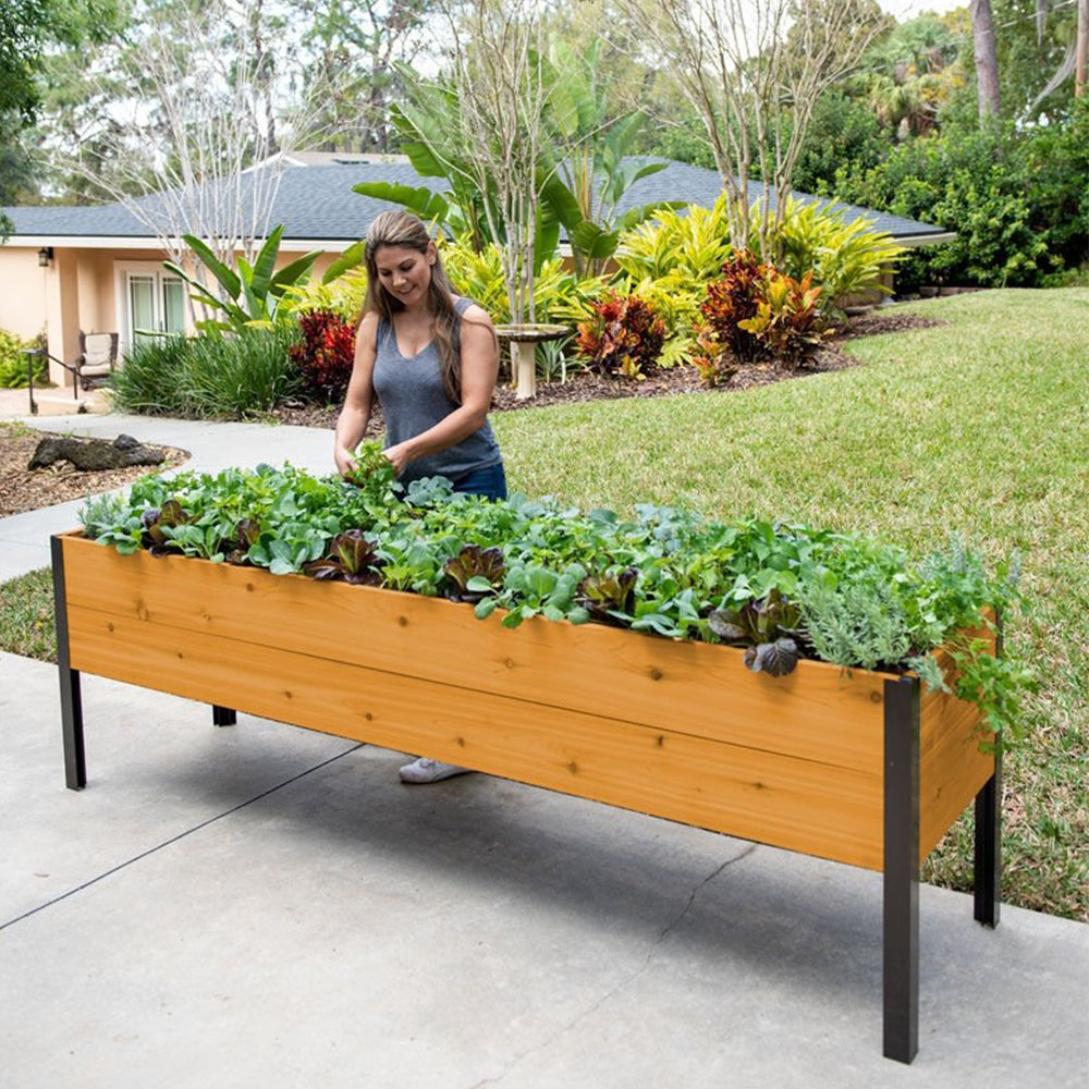 Mart special today Last 30sets Self-Watering Eco-Stained Elevated Planter Box