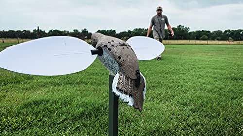 MOJO Outdoors Dove Decoys for Dove Hunting