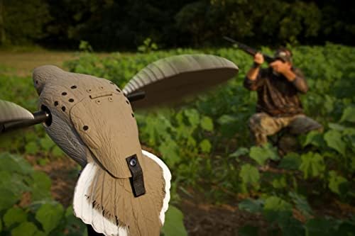 MOJO Outdoors Dove Decoys for Dove Hunting