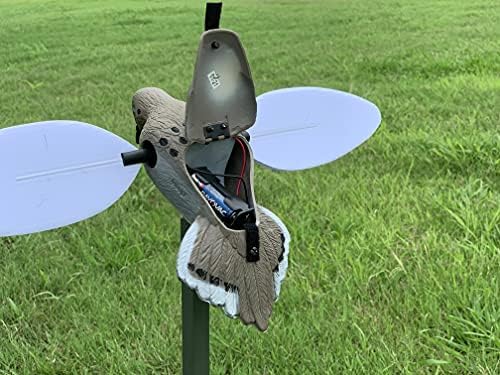 MOJO Outdoors Dove Decoys for Dove Hunting
