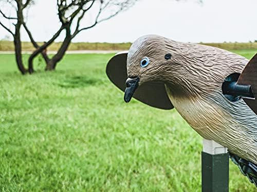 MOJO Outdoors Dove Decoys for Dove Hunting