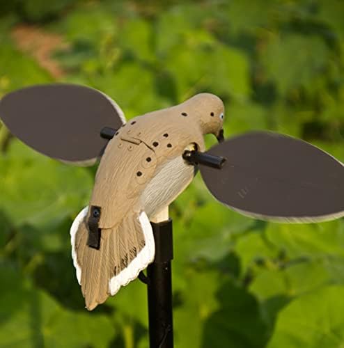 MOJO Outdoors Dove Decoys for Dove Hunting