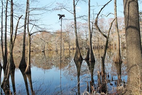 MOJO Outdoors Extension Pole for Hunting Decoys