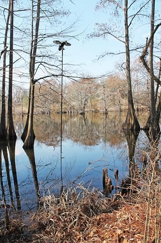 MOJO Outdoors Extension Pole for Hunting Decoys
