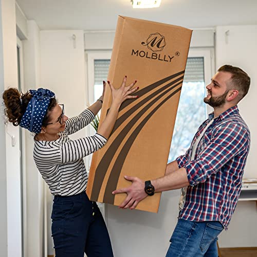 Molblly Queen Mattress, 10 inch Gel Memory Foam Mattress with CertiPUR-US Mattress in a Box