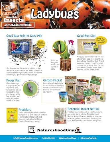 NaturesGoodGuys 1500 Live Ladybugs - Good Bugs- Ladybugs - Guaranteed Live Delivery!