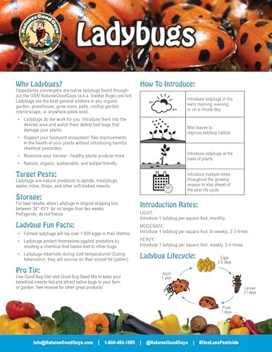 NaturesGoodGuys 1500 Live Ladybugs - Good Bugs- Ladybugs - Guaranteed Live Delivery!