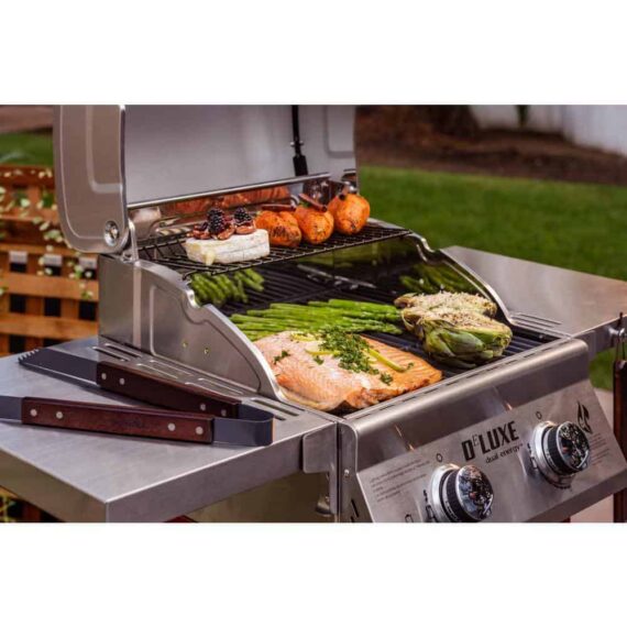 Nexgrill Deluxe 2-Burner Propane Gas Grill, Red - Stainless Steel, 28,000 BTUs, Compact Design