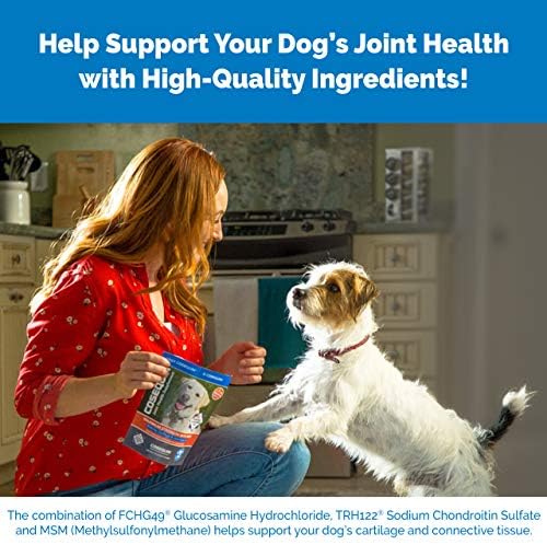 Nutramax Laboratories Cosequin Maximum Strength Joint Health Supplement for Dogs - With Glucosamine  Chondroitin  and MSM  132 Chewable Tablets