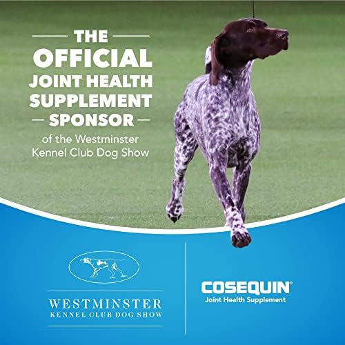 Nutramax Laboratories Cosequin Maximum Strength Joint Health Supplement for Dogs - With Glucosamine  Chondroitin  and MSM  132 Chewable Tablets