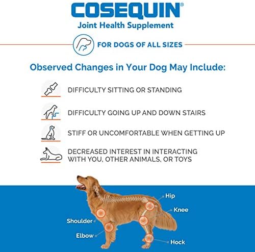 Nutramax Laboratories Cosequin Maximum Strength Joint Health Supplement for Dogs - With Glucosamine  Chondroitin  and MSM  132 Chewable Tablets