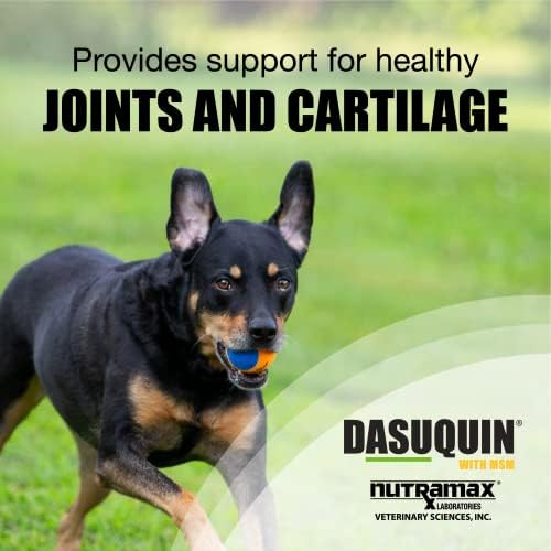 Nutramax Laboratories Dasuquin with MSM Joint Health Supplement for Large Dogs - With Glucosamine  MSM  Chondroitin  ASU  Boswellia Serrata Extract  and Green Tea Extract  150 Soft Chews