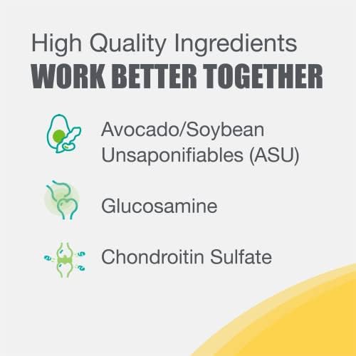 Nutramax Laboratories Dasuquin with MSM Joint Health Supplement for Large Dogs - With Glucosamine  MSM  Chondroitin  ASU  Boswellia Serrata Extract  and Green Tea Extract  150 Soft Chews