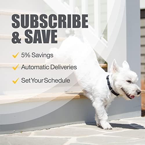 Nutramax Laboratories Dasuquin with MSM Joint Health Supplement for Small to Medium Dogs - With Glucosamine  MSM  Chondroitin  ASU  Boswellia Serrata Extract  and Green Tea Extract  84 Soft Chews