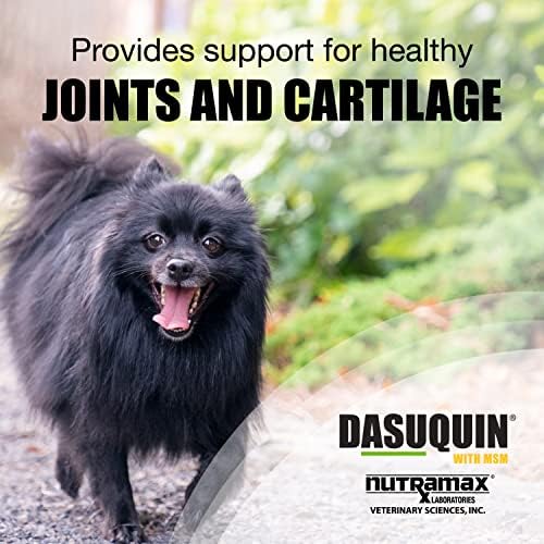Nutramax Laboratories Dasuquin with MSM Joint Health Supplement for Small to Medium Dogs - With Glucosamine  MSM  Chondroitin  ASU  Boswellia Serrata Extract  and Green Tea Extract  84 Soft Chews