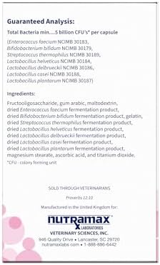 Proviable Digestive Health Supplement Multi-Strain Probiotics and Prebiotics for Cats and Dogs - with 7 Strains of Bacteria  80 Capsules