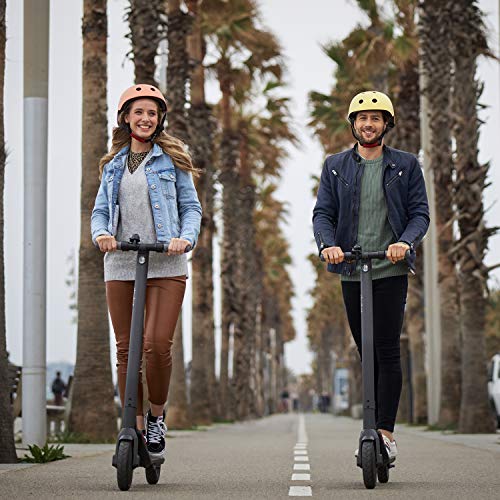 Segway Ninebot Electric Kick Scooter, Lightweight and Foldable
