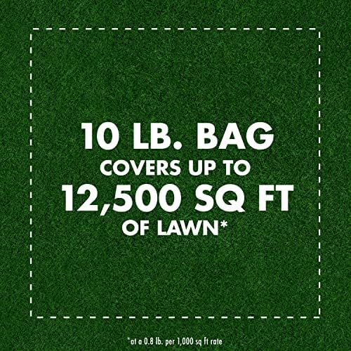 Spectracide Triazicide Insect Killer For Lawns Granules  10 lb Bag (Pack of 4)   Kills All Listed Lawn-Damaging Insects