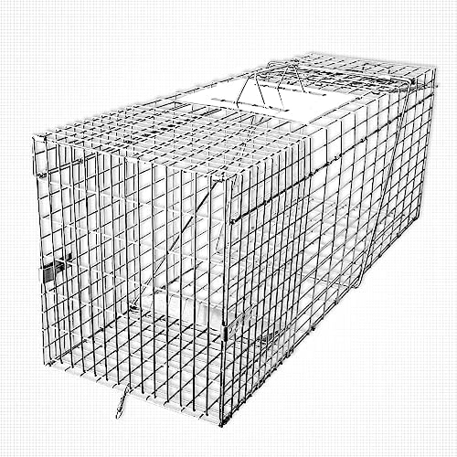SZHLUX 32" Live Animal Cage Trap  Heavy Duty Folding Raccoon Traps  Humane Cat Trap for Stray Cats  Raccoons  Squirrel  Skunk  Mole  Groundhog  Armadillo  Rabbit  Catch and Release(SZ-HXL8130-NEW).