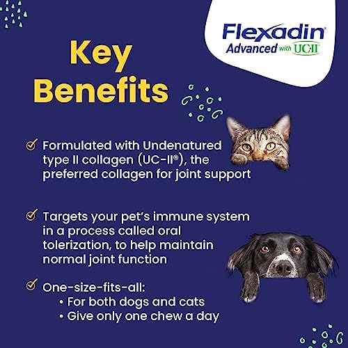 Vetoquinol Flexadin Advanced Dog Hip and Joint Supplement with UC-II Collagen  One Chew a Day Hip and Joint Support Chew for Dogs and Cats  Clinically Proven Vet-Approved Formula  60 Chews