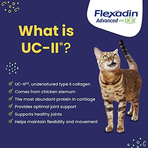 Vetoquinol Flexadin Advanced Dog Hip and Joint Supplement with UC-II Collagen  One Chew a Day Hip and Joint Support Chew for Dogs and Cats  Clinically Proven Vet-Approved Formula  60 Chews