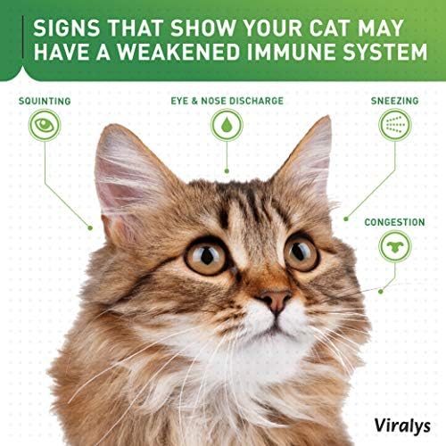 Vetoquinol Viralys L-Lysine Supplement for Cats - Cats & Kittens of All Ages - Immune Health - Sneezing  Runny Nose  Squinting  Watery Eyes - Flavored Lysine Powder