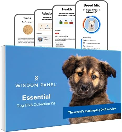 Wisdom Panel Essential Dog DNA Kit: Most Accurate Test for 365+ Breeds  30 Genetic Health Conditions  50+ Traits  Relatives  Ancestry - 1 Pack