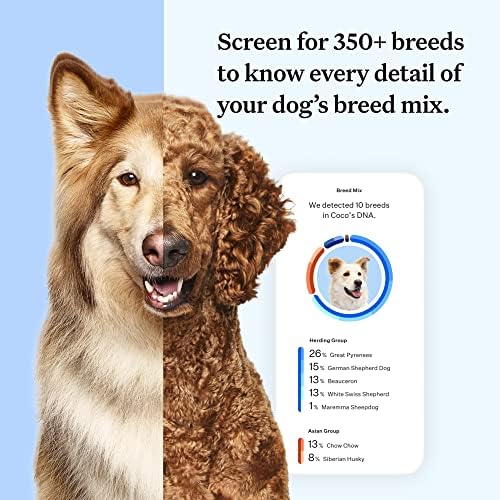 Wisdom Panel Essential Dog DNA Kit: Most Accurate Test for 365+ Breeds  30 Genetic Health Conditions  50+ Traits  Relatives  Ancestry - 1 Pack