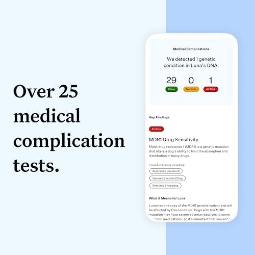 Wisdom Panel Essential Dog DNA Kit: Most Accurate Test for 365+ Breeds  30 Genetic Health Conditions  50+ Traits  Relatives  Ancestry - 1 Pack