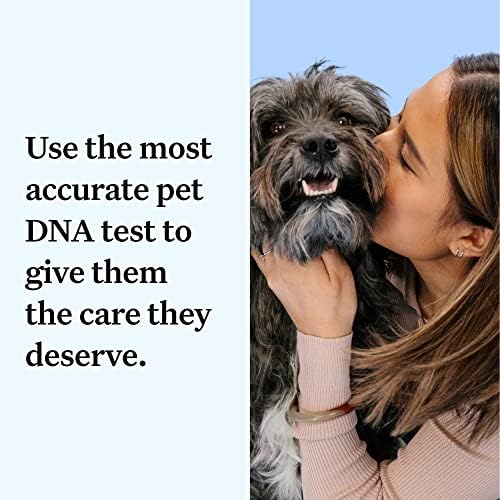 Wisdom Panel Essential Dog DNA Kit: Most Accurate Test for 365+ Breeds  30 Genetic Health Conditions  50+ Traits  Relatives  Ancestry – 1 Pack