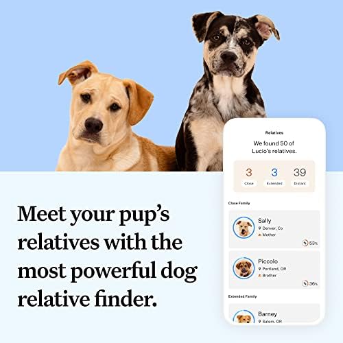 Wisdom Panel Essential Dog DNA Kit: Most Accurate Test for 365+ Breeds  30 Genetic Health Conditions  50+ Traits  Relatives  Ancestry - 1 Pack