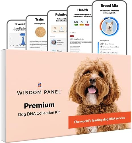 Wisdom Panel Premium Dog DNA Kit: Most Comprehensive with 265+ Health Tests  Identify 365+ Dog Breeds  50+ Traits  Relatives  Ancestry  Genetic Diversity - 1 Pack