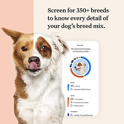 Wisdom Panel Premium Dog DNA Kit: Most Comprehensive with 265+ Health Tests  Identify 365+ Dog Breeds  50+ Traits  Relatives  Ancestry  Genetic Diversity - 1 Pack