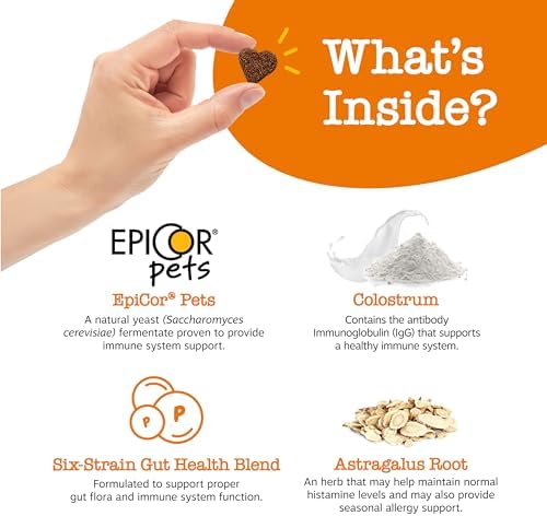 Zesty Paws Dog Allergy Relief – Anti Itch Supplement – Omega 3 Probiotics for Dogs – Digestive Health – Soft Chews for Skin & Seasonal Allergies – with Epicor Pets – Lamb – 90 Count